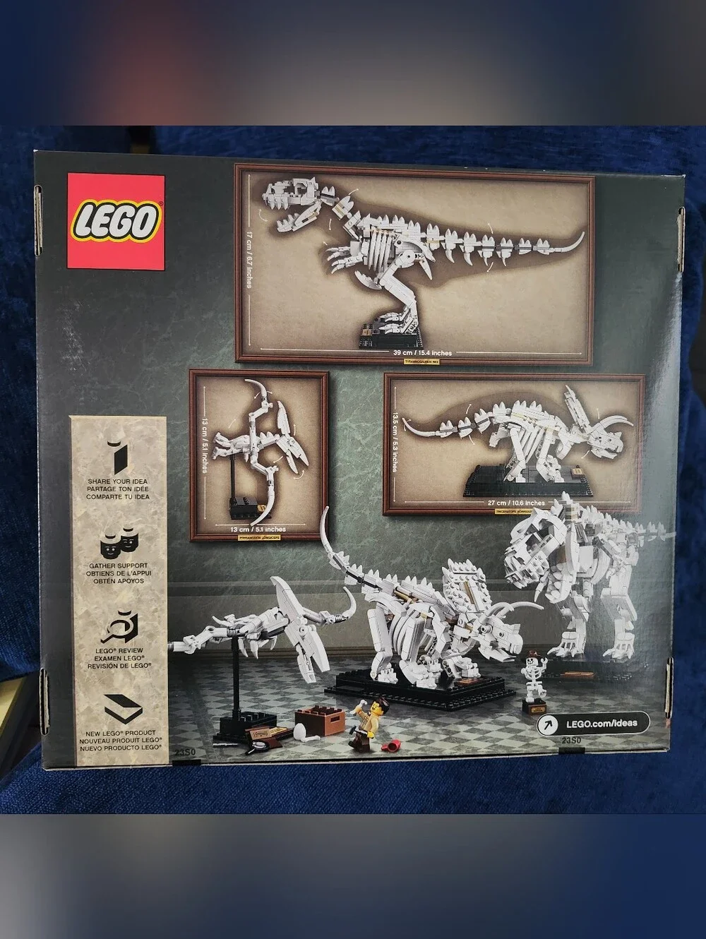 Lego Ideas 21320 White Dinosaur Skeleton Display Set with Black Stands